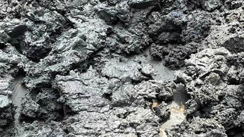 الحمأة بمحتوى رطوبة 80%