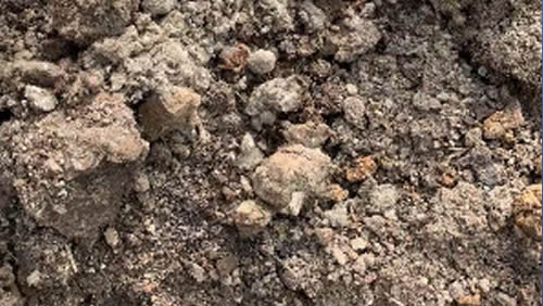 الحمأة بمحتوى رطوبة 40%